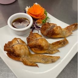 AP8. Angel Wings (3)