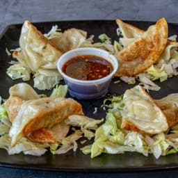 Pot Stickers Tray