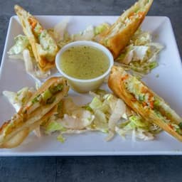 Spring Rolls Tray